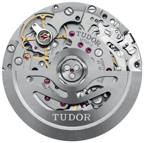 mt5813 tudor 5810 usato|tudor mt5813.